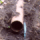Blocked drain repair, Tavistock